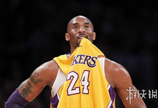 company-introduction